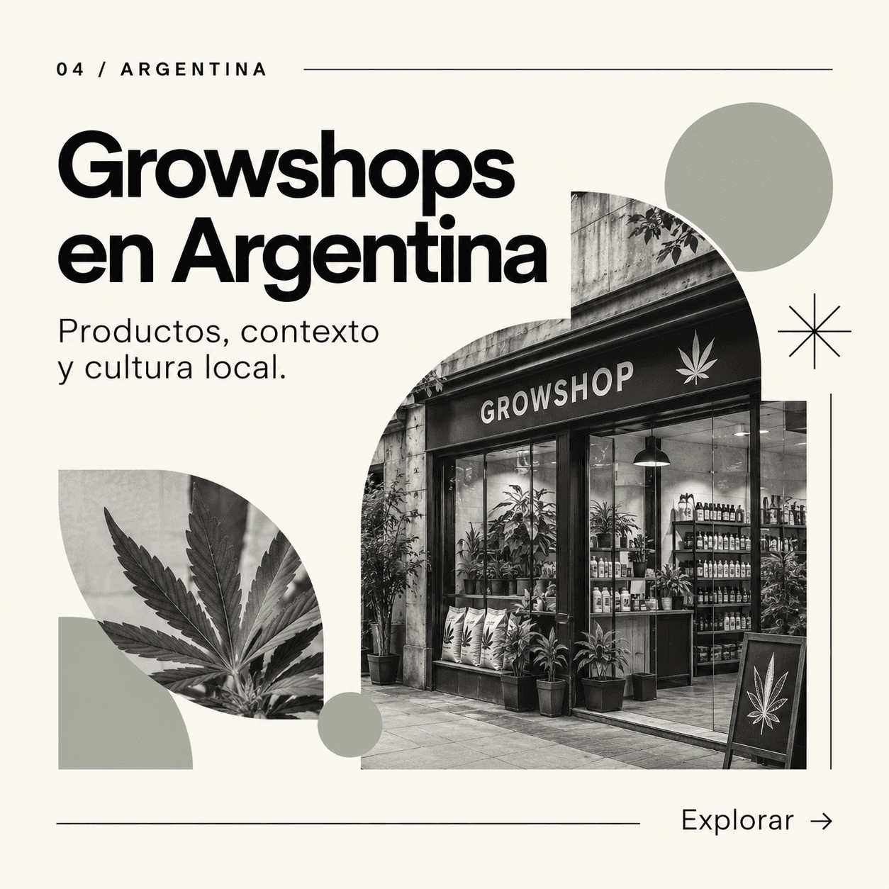 Fachada de un growshop con plantas y productos en vidriera