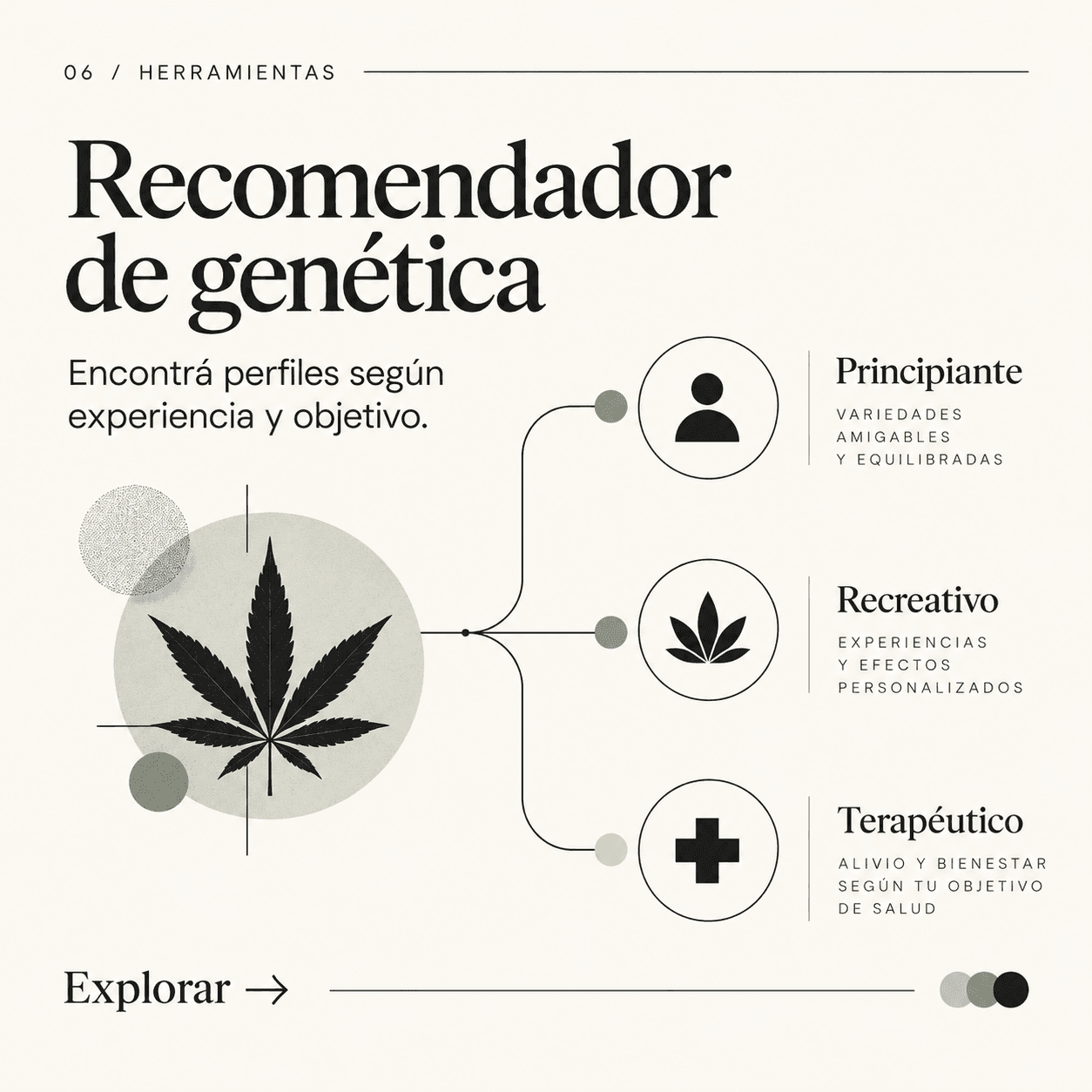 Diagrama de perfiles principiante, recreativo y terapéutico