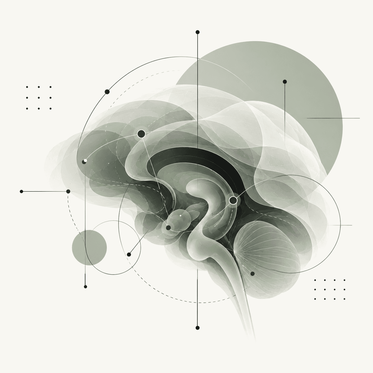 Ilustración abstracta de un cerebro en corte con hipocampo, amígdala y cerebelo marcados en verde salvia